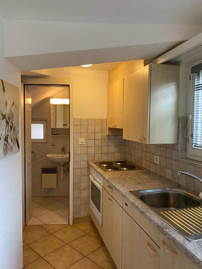 Casa Sibylle Studio - Piccolo Paradiso Minusio Екстер'єр фото