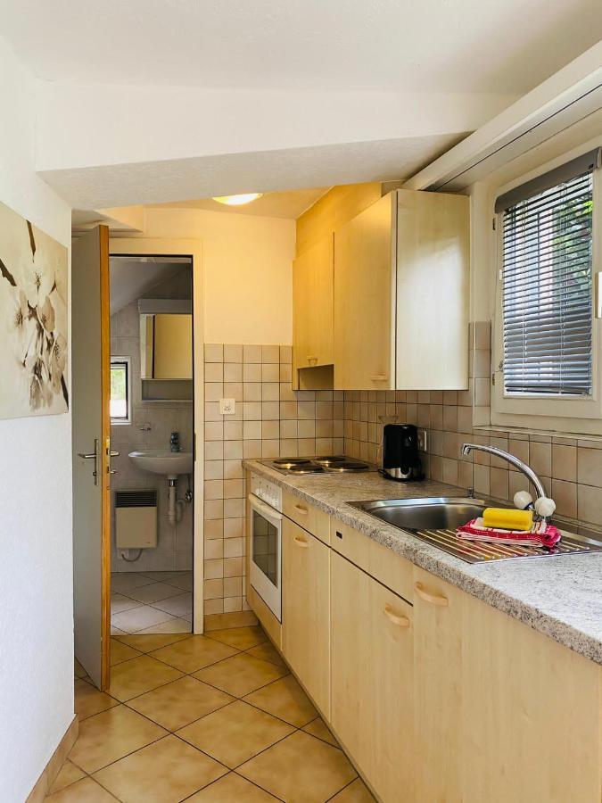 Casa Sibylle Studio - Piccolo Paradiso Minusio Екстер'єр фото