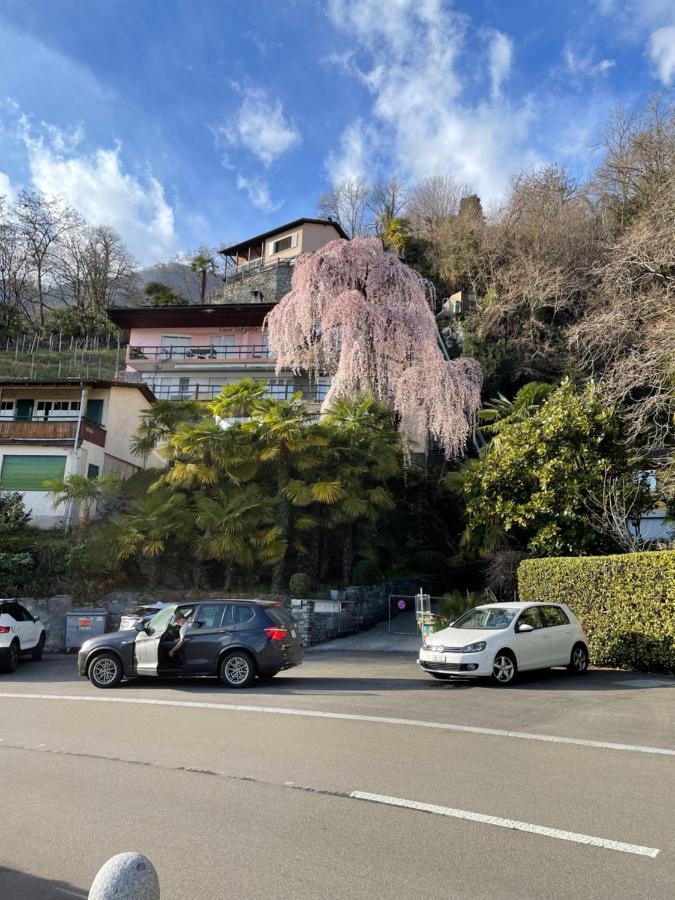 Casa Sibylle Studio - Piccolo Paradiso Minusio Екстер'єр фото